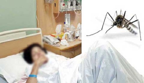 রাজধানীতে ডেঙ্গু রোগীর সংখ্যা হাজার ছাড়িয়েছে
