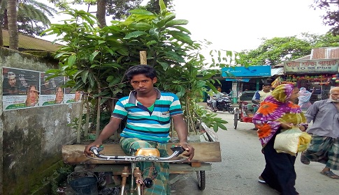 গাছের ফেরিওয়ালা মজনু চারা বিক্রি করেই চলে যার জীবন