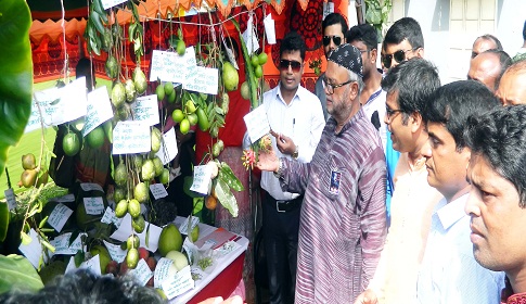 গলাচিপায় ফলদ বৃক্ষ মেলার উদ্বোধন
