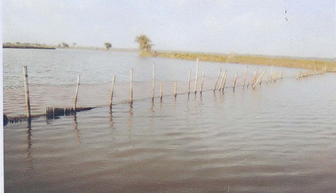 অপসারণের ৭২ ঘণ্টা পার না হতেই সাপখালি খালে নতুন করে নেটপাটা দিলেন যুবলীগ নেতা