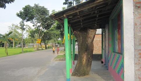 গৌরীপুরে সড়কের জায়গা দখল করে ঘর নির্মাণ, গাছ কর্তনের অভিযোগ