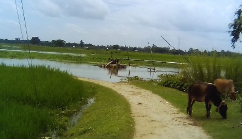 হরিপুরে নদী থেকে অবৈধভাবে বালু উত্তোলন