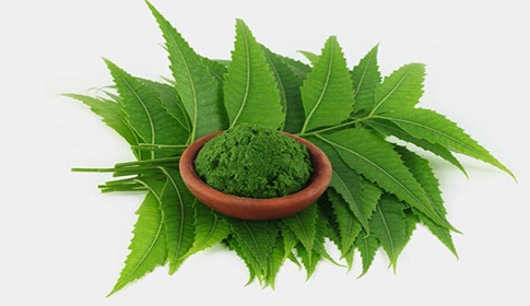 ব্রন ও চুলের যত্নে নিম পাতা