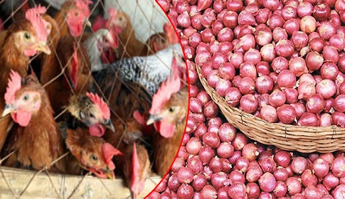 পেঁয়াজের ঝাঁজ কমেছে, বেড়েছে মুরগির দাম