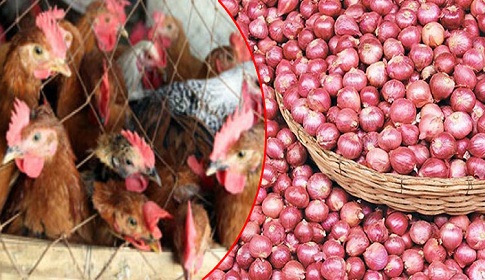 পেঁয়াজের ঝাঁজ কমেছে, বেড়েছে মুরগির দাম