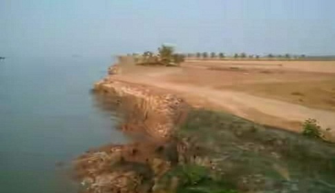 দশমিনায় বীজবর্ধন খামার তেঁতুলিয়ার গ্রাসে