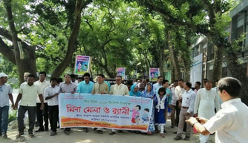 তাড়াশে মিনা মেলা উপলক্ষে র্যালি ও আলোচনা সভা