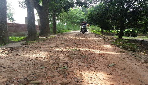 রানীশংকৈলে বেহাল সড়কে জনদুর্ভোগ