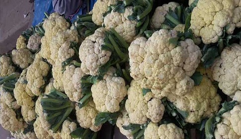 দশ টাকায় ফুলকপি