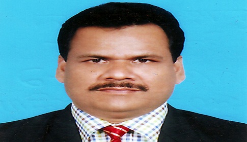 বিএনপির কেন্দ্রীয় নেতা হাবিবুল ইসলাম জামিনে মুক্ত