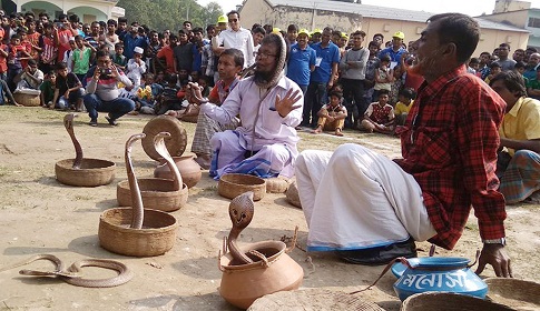 মাগুরায় গ্রাম বাংলার ঐতিহ্যবাহী সাপ খেলা