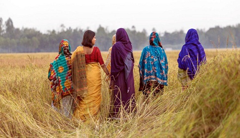 চলচ্চিত্রে বীরাঙ্গনাদের টিকে থাকার করুণ গল্প