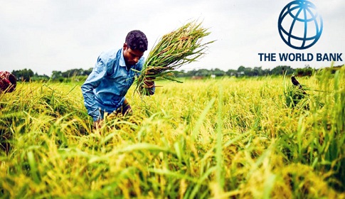 দক্ষিণ এশিয়ায় ক্রমবর্ধমান অর্থনীতির শীর্ষে বাংলাদেশ