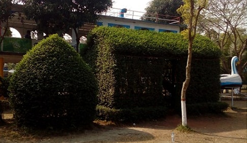 চোখ জুড়ানো পাতার ঘর