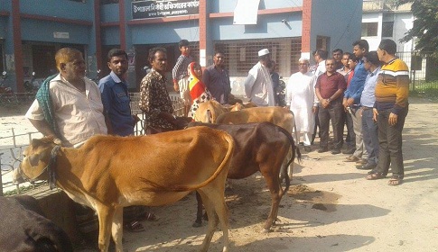 মদনে প্রধানমন্ত্রীর অনুদানের অর্থে গবাদি পশু পেল সমতল ক্ষুদ্র-নৃগোষ্ঠীরা