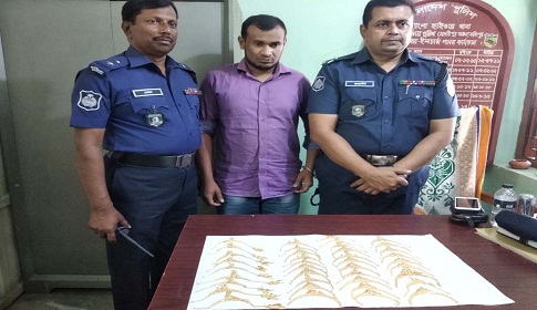 রাজবাড়ীতে ৪১ ভরি স্বর্ণসহ পাচারকারী গ্রেপ্তার