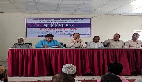 হাওরে বোরো ধানের ফলন বিপর্যয় নিয়ে মদনে মতবিনিময় সভা