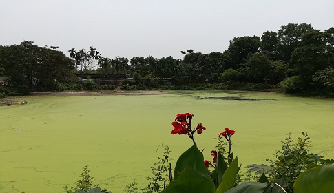 রাণীশংকৈলে চেয়ারম্যানের বিরুদ্বে পুকুর দখলের অভিযোগ 