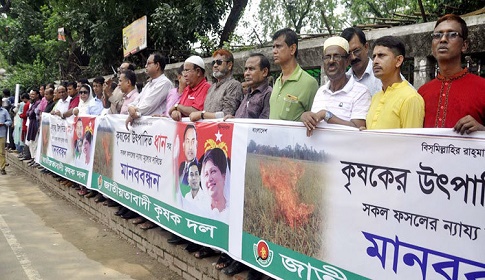 কৃষক ক্ষেতে আগুন দিলেও সরকার নির্বিকার : দুদু