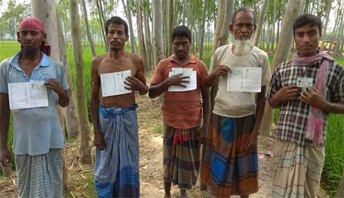 পলাশবাড়ীতে কৃষি প্রণোদনা লুটপাট, ক্ষুদ্র-প্রান্তিক কৃষকরা বঞ্চিত