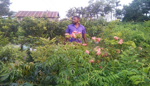 নার্সারী বাগান করে মহরম আলী এখন কোটিপতি