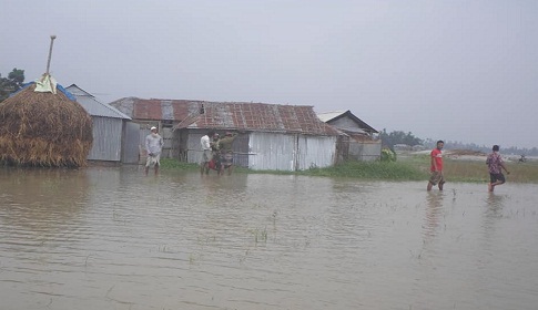 তিস্তার পানি বৃদ্ধিতে চরাঞ্চলসহ নিম্নাঞ্চলের ৫ হাজার মানুষ পানিবন্ধী