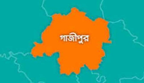 কাপাসিয়ায় বিশ্ব জনসংখ্যা দিবস পালিত