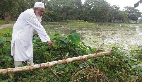 বিদ্যুতের খুঁটি ভেঙে পড়ে থাকায় আমন চাষা বন্ধ