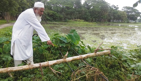 বিদ্যুতের খুঁটি ভেঙে পড়ে থাকায় আমন চাষা বন্ধ