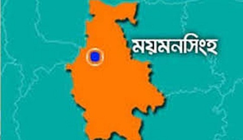 ঈশ্বরগঞ্জে বজ্রপাতে শিক্ষার্থীর মৃত্যু