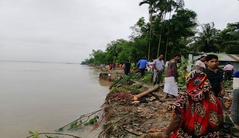 যমুনার পূর্বপাড়ে তীব্র ভাঙন, হুমকির মুখে যমুনা রক্ষা বাঁধ