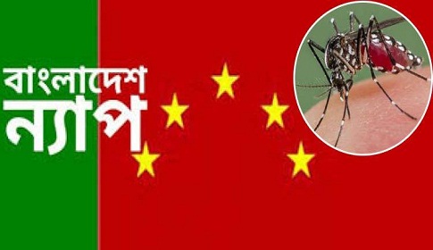 ‘মেয়রদের এখন শুধু একটাই কাজ মশা মারা’