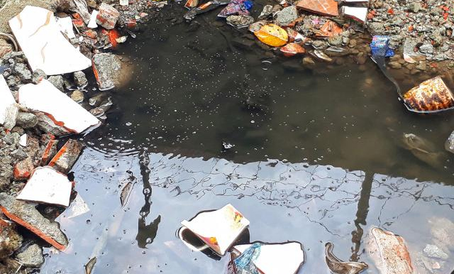 নগর ভবনের পেছনে ময়লা, মশার বসবাস