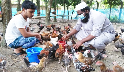 দেশী মুরগি পালন করে শামীম এখন স্বাবলম্বী