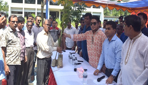 হালুয়াঘাটে বিভিন্ন শিক্ষা প্রতিষ্ঠানে গাছের চারা বিতরণ