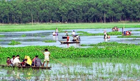 আসুরা বিলে নৌকাডুবিতে ৩ শিক্ষার্থীর মৃত্যু