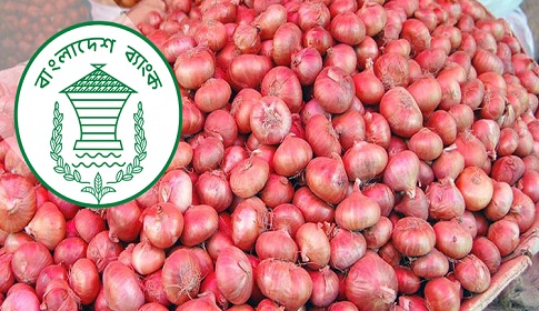 পেঁয়াজ আমদানির অর্থায়নে সর্বোচ্চ সুদ ৯ শতাংশ