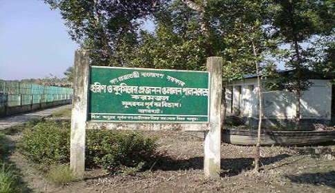 সুন্দরবনের ৫টি ফরেষ্ট অফিস বন্ধ ঘোষণা, নিরাপদ আশ্রয়ে কর্মকর্তা ও বনরক্ষীরা