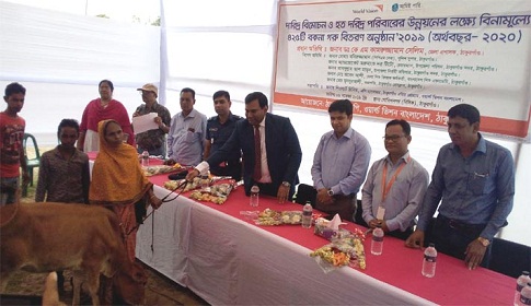 ঠাকুরগাঁওয়ে বকনা গরু বিতরণ করল ওয়ার্ল্ড ভিশন