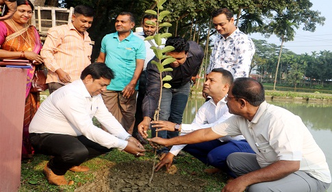 নওগাঁয় পরিবেশ সুরক্ষা সংস্থার বৃক্ষ রোপন