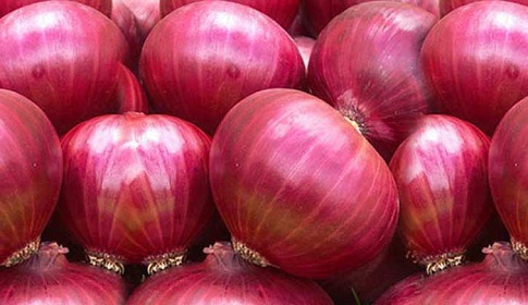পেঁয়াজ সমাচার