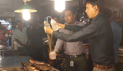 কারওয়ানবাজারে মাছ পরীক্ষা করছে বিএফএসএ