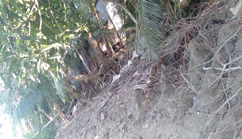 মাদারীপুরে আড়িয়াল খাঁ নদে আবার ফাটল, আতঙ্কে এলাকাবাসী