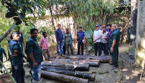 পুলিশ-বন বিভাগের যৌথ অভিযানে লক্ষ টাকার কাঠ উদ্ধার