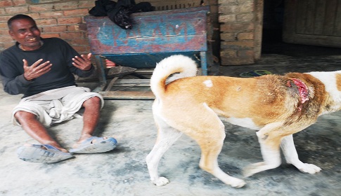 পোষা কুকুরকে কুপিয়ে রক্তাক্ত করায় এক সপ্তাহ ভাত-পানি খায়নি মনমোহন