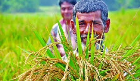 কৃষক বাঁচলে আমরা বাঁচবো 