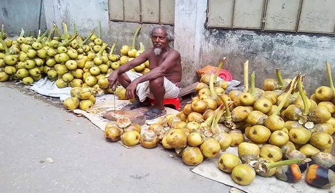 তাপদাহে তৃষ্ণা মেটাতে কদড় বেড়েছে প্রকৃতির উপহার পানি তালের