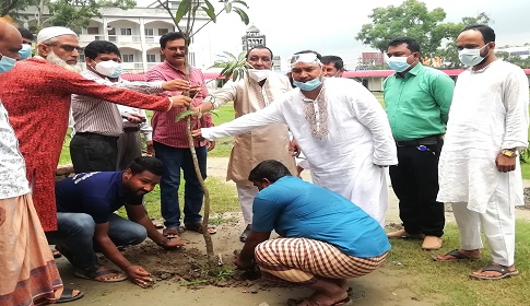 ত্রিশাল নজরুল একাডেমীতে বৃক্ষরোপন