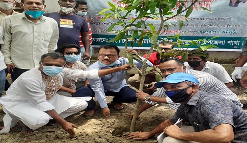 নড়াইলে গাছের চারা রোপন করলো যুবলীগ