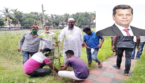 প্রধানমন্ত্রীর নির্দেশ বাস্তবায়নে ঈশ্বরদীতে ব্যরিষ্টার জিরুর বৃক্ষরোপন